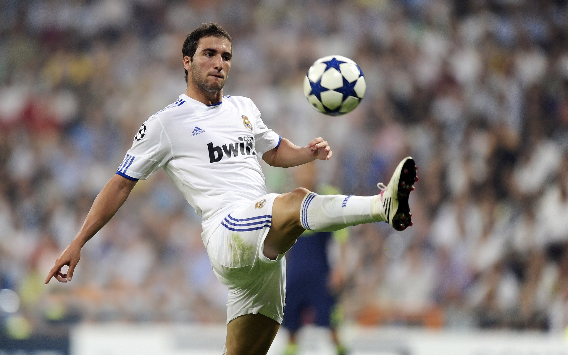 未来“智能青训”成为行业新风向,行业迈入智慧发展新阶段