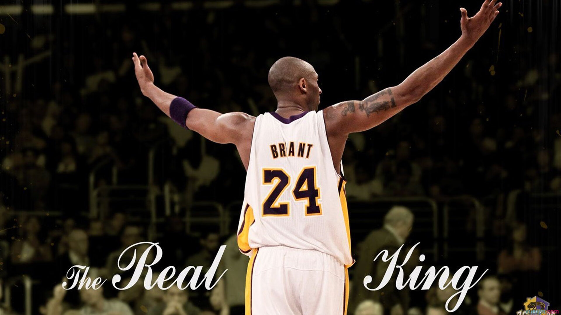 篮球裁判培训引入虚拟现实技术助力实操，篮球裁判员培训教程